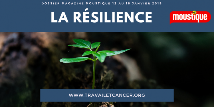 Moustique : La résilience , ou comment surmonter un traumatisme